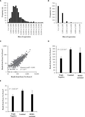 Exploring the Significance of the Exon 4-Skipping Isoform of the ZNF217 Oncogene in Breast Cancer